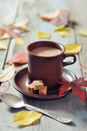Cup of hot chocolate with brown sugar on wooden backgroundの写真素材