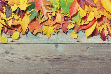 Autumn leaves in row on vintage wooden background の写真素材