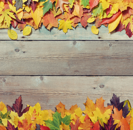 Autumn leaves in row on vintage wooden background の写真素材