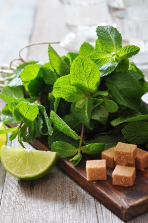 Ingredients  for coctail mojito on wooden backgroundの写真素材