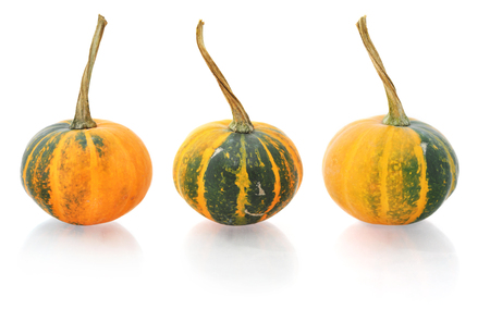Mini pumpkins isolated on a white background with reflectionの写真素材