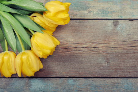 Beautiful yellow tulips on wooden with copy space の写真素材