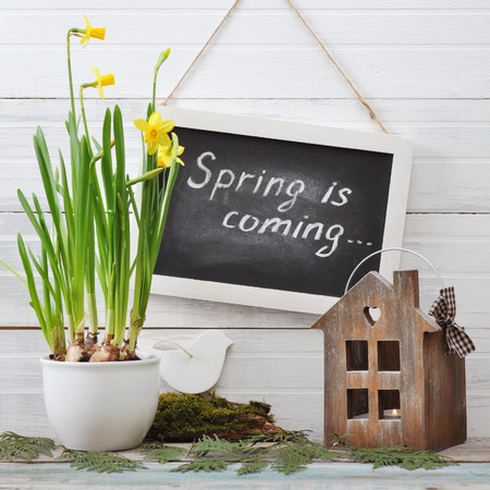 Daffodils in flowerpot with blackboard and lantern on wooden backgroundの写真素材