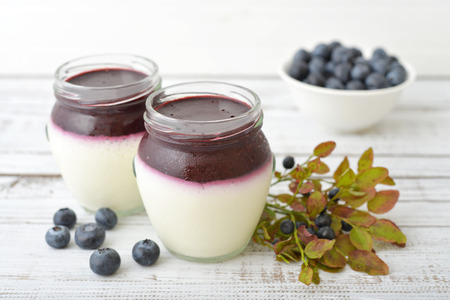 Dessert panna cotta with fresh blueberry on wooden backgroundの写真素材