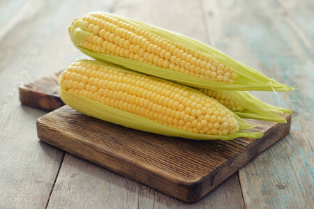 Raw corn cobs on wooden background closeupの写真素材