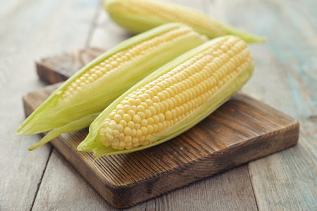 Raw corn cobs on wooden background closeupの写真素材