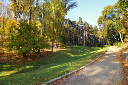 Sunny day in a beautiful autumn parkの写真素材