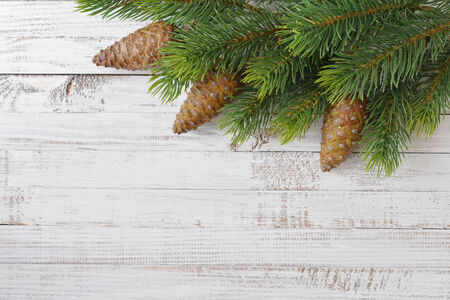Fir tree branches with cones on white wooden background closeupの写真素材