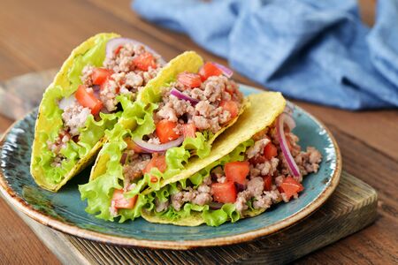 Mexican tacos with meat, onion and tomato on cutting board on wooden backgroundの写真素材