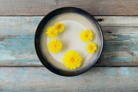 Dandelion in ceramic bowl with water closeupの写真素材