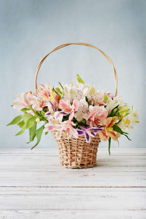 Bouquet alstroemeria in wicker basket on light blue backgroundの写真素材
