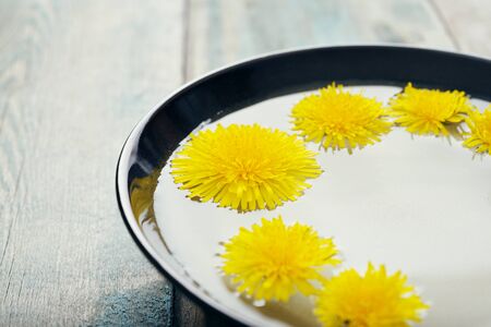 Dandelion in ceramic bowl with water closeupの写真素材