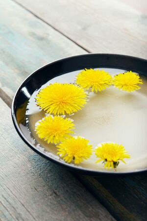 Dandelion in ceramic bowl with water closeupの写真素材