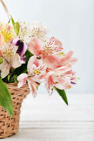 Bouquet alstroemeria in wicker basket  on light blue backgroundの写真素材