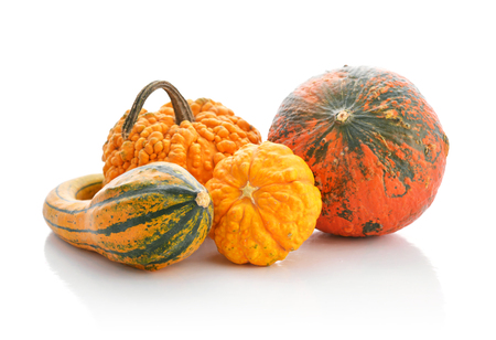 Mini pumpkins isolated on a white background with reflectionの写真素材