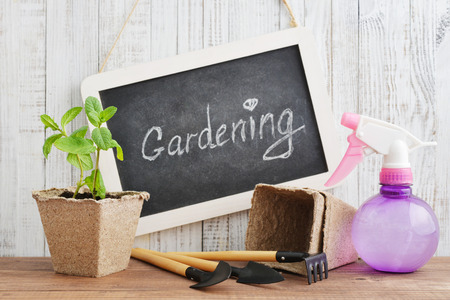 Gardening tools, spray bottle, plants and soil on vintage wooden backgroundの写真素材