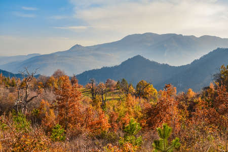 Autumn landscape in Greece  mountains with yellow, orange and red treesの写真素材