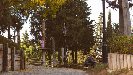 green grass in the park with small pebbles, nature, leaves and bushes. high quality photoの写真素材