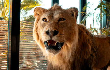 stuffed lion. High quality photo