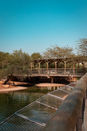 Dubai crocodile park. High quality photo