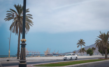 Car parked in front of the road with palm trees in the backgroundの写真素材