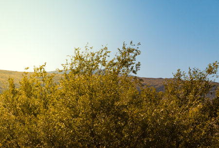 top view of south Kazakhstan nature, mountain and nature view. High quality photo
