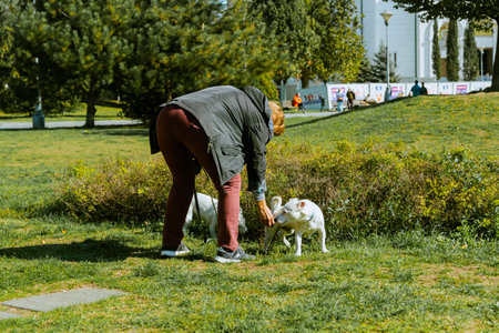 woman walking with two dogs in the park. High quality photoの写真素材