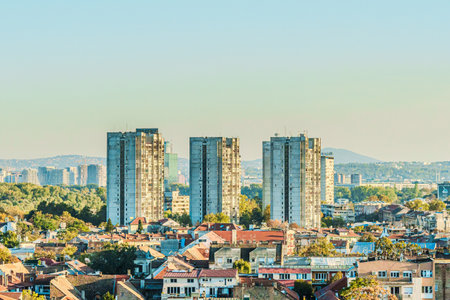 High quality photoの写真素材