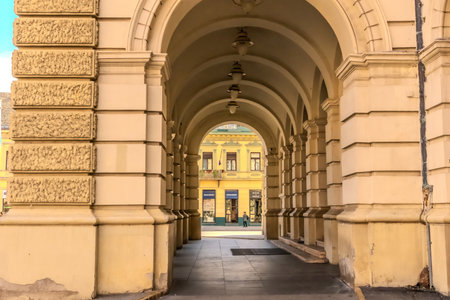 A panoramic city view of Novi Sad with its iconic bridge over the Danube River is a breathtaking sight. From this vantage point, the city sprawls beneath the sky, with the elegant Varadin Bridge connecting the two sides of the river. High quality photoの写真素材