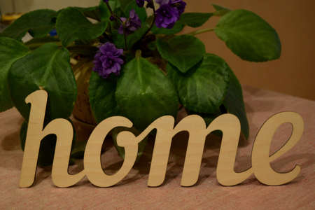 Inscription home with flowerの写真素材