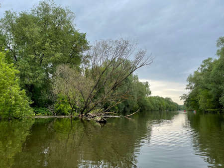 A river flowing slowly among the trees that are reflected in its waters
