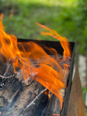 Beautiful flames of fire burning in the brazierの写真素材