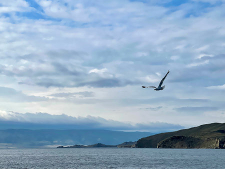 Seagull flying in the sky over Lake Baikal. Beautiful mountain landscape on a cloudy day.の写真素材