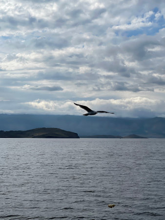 Seagull flying in the sky over Lake Baikal. Beautiful mountain landscape on a cloudy day.の写真素材