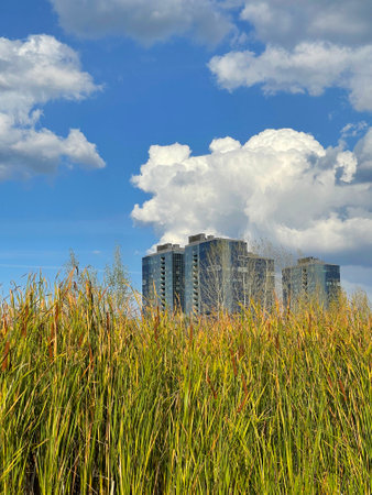 Contrast in a modern city: View of a skyscraper from a reed-covered beach. Kazan, Russiaの写真素材