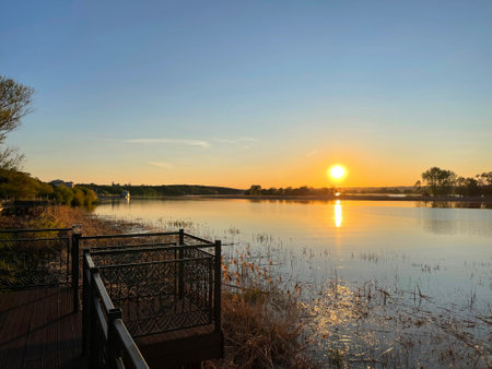 Sunset on the bank of the Volga River, overgrown with dry pampas grass, Russiaの写真素材