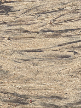 Sandy beach underwater texture, Barents Sea, Teriberka, Russiaの写真素材