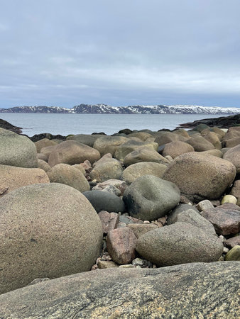 Beach on the shore of the Barents Sea. Teryberka, Russia.の写真素材