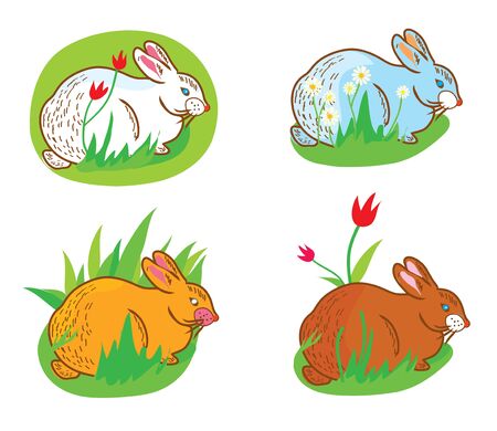 Rabbit in the grass with flowers easter setのイラスト素材