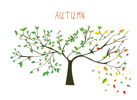 Autumn is coning tree - vector illustrationのイラスト素材