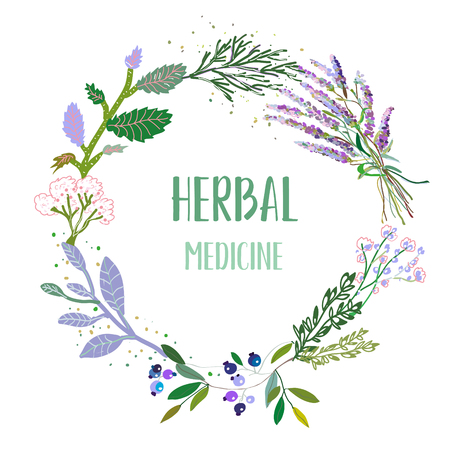 Herbal medicine card or label with frame - flowers, plants and herbs. Vector graphic illustrationのイラスト素材