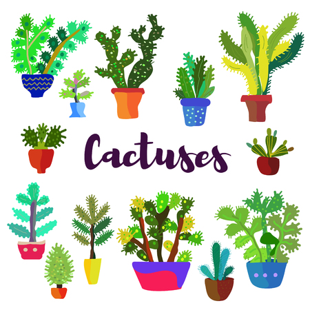 Cactus card with many plants. Vector graphic illustrationのイラスト素材