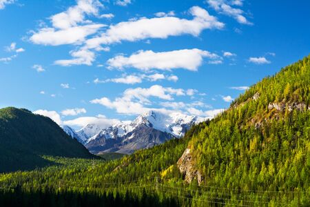 Summer mountains view snow-capped peaks green forest and blue sky landscape, Altay mountains,...