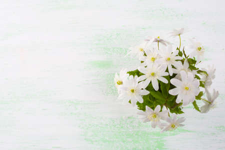 White flowers bouquet. Spring flowers. Flowers postcard. Flowers greeting. Greeting card.