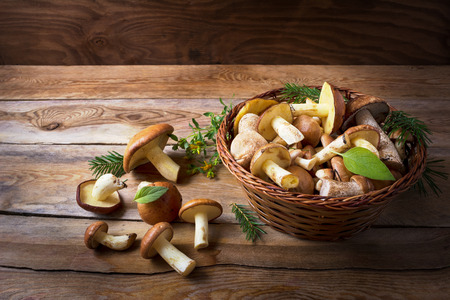 Basket with wild forest mushrooms on the rustic wooden background. Fresh raw mushrooms in the basket.の写真素材