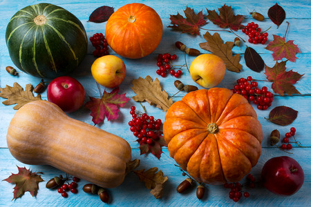 Autumn seasonal vegetables and fruits on the blue wooden background. Thanksgiving background with...