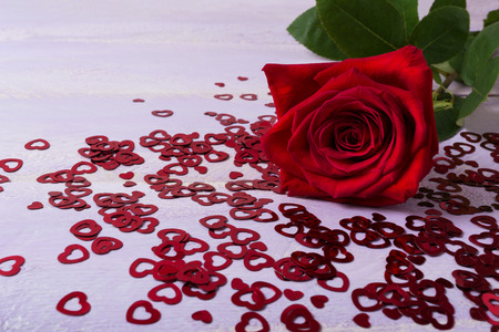 St. Valentine's Day greeting card with dark red rose and glitter hearts. Elegant wedding day invitation background. Copy space.