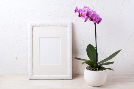 White frame mockup with purple orchid in flower pot. Empty frame mock up for presentation design.の写真素材