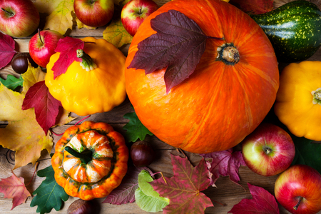 Red apples, pumpkins and yellow gourd with colorful fall leaves, top view. Thanksgiving or fall greeting backgroundの写真素材