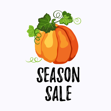 Season sale sticker vector design with orange ripe pumpkin, green leaves and stems on the white background.のイラスト素材